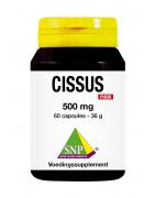 Cissus 500mg puurOverig gezondheidsproducten8718591423017