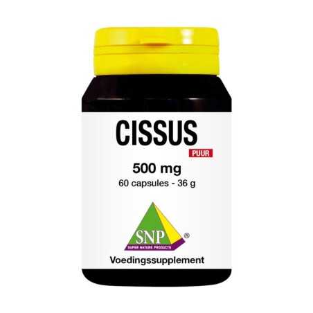 Cissus 500mg puurOverig gezondheidsproducten8718591423017