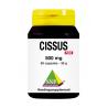 Cissus 500mg puurOverig gezondheidsproducten8718591423017