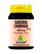 Garcinia cambogia 500mg puurSlank/dieet voedingssupplement8718591422423