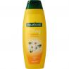 Shampoo elke dagShampoo8718951066106