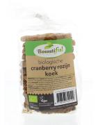 Cranberry rozijnkoek bioKoek8718503329109