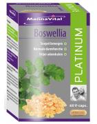 Boswellia platinumOverig gezondheidsproducten5412339103461