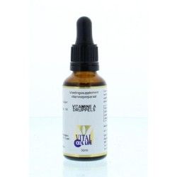 Vitamine B6 21 mgVitamine enkel8713286024326