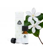 Jasmijn cultivar absolueEtherische oliën/aromatherapie8714243013896