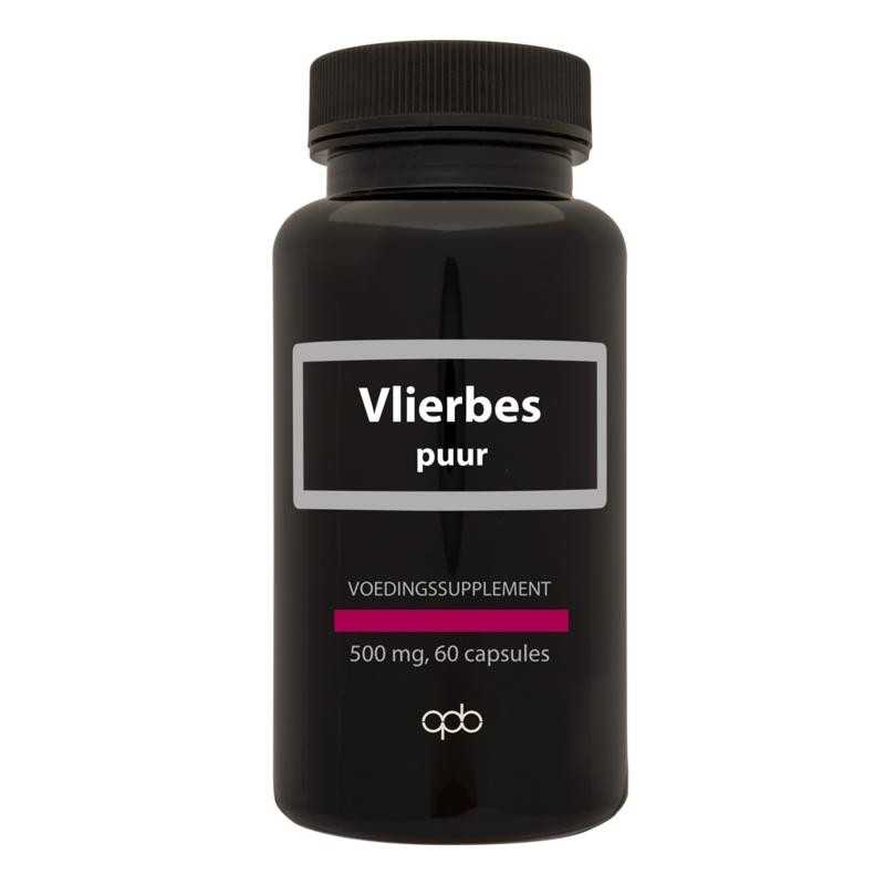 Vlierbes/sambucus nigra 500mg puurOverig gezondheidsproducten8718868618214