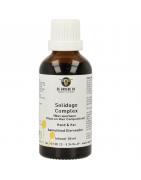 Solidago complex hond/katDieren8716378999328