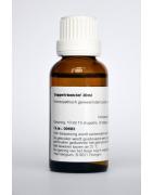 Glechoma hederacea phytoFytotherapie8717473036901