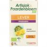 Artisjok paardenbloemOverig gezondheidsproducten5411386887737