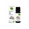 Tijm thymol bioEtherische oliën/aromatherapie5407009330612