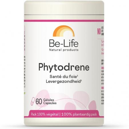 PhytodreneOverig gezondheidsproducten5413134002928