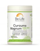 Curcuma magnum 3200 + piperine bioFytotherapie5413134003819