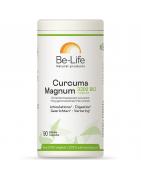 Curcuma magnum 3200 + piperine bioFytotherapie5413134798692