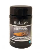 Cordyceps bioOverig gezondheidsproducten8052570082094