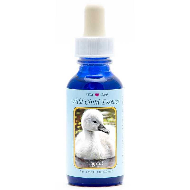 Cygnet (zwaan kuiken)Etherische oliën/aromatherapie8717624995101