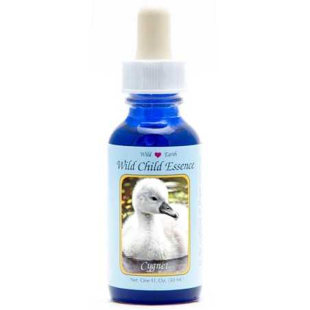 Cygnet (zwaan kuiken)Etherische oliën/aromatherapie8717624995101