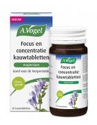 Focus en concentratieOverig gezondheidsproducten8711596596403