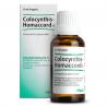 Colocynthis-Homaccord HArtikel 6 complex8714725040495