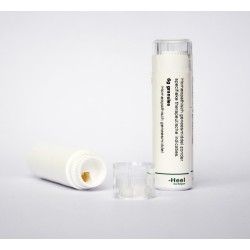 Conium maculatum LM14Artikel 4 enkelvoudig8717473028760