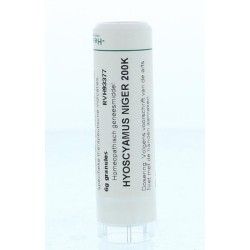 Arsenicum iodatum LM12Artikel 4 enkelvoudig8717473011434