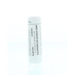 Apocynum cannabinum D6Artikel 4 enkelvoudig8728300910134