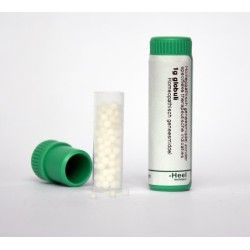 Arsenicum iodatum LM4Artikel 4 enkelvoudig8717473011496