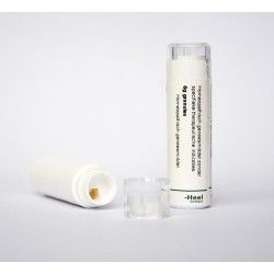 Arsenicum iodatum LM1Artikel 4 enkelvoudig8717473011410