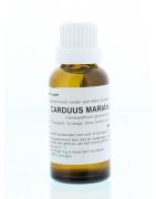 Carduus marianus D6Artikel 4 enkelvoudig8717473022652