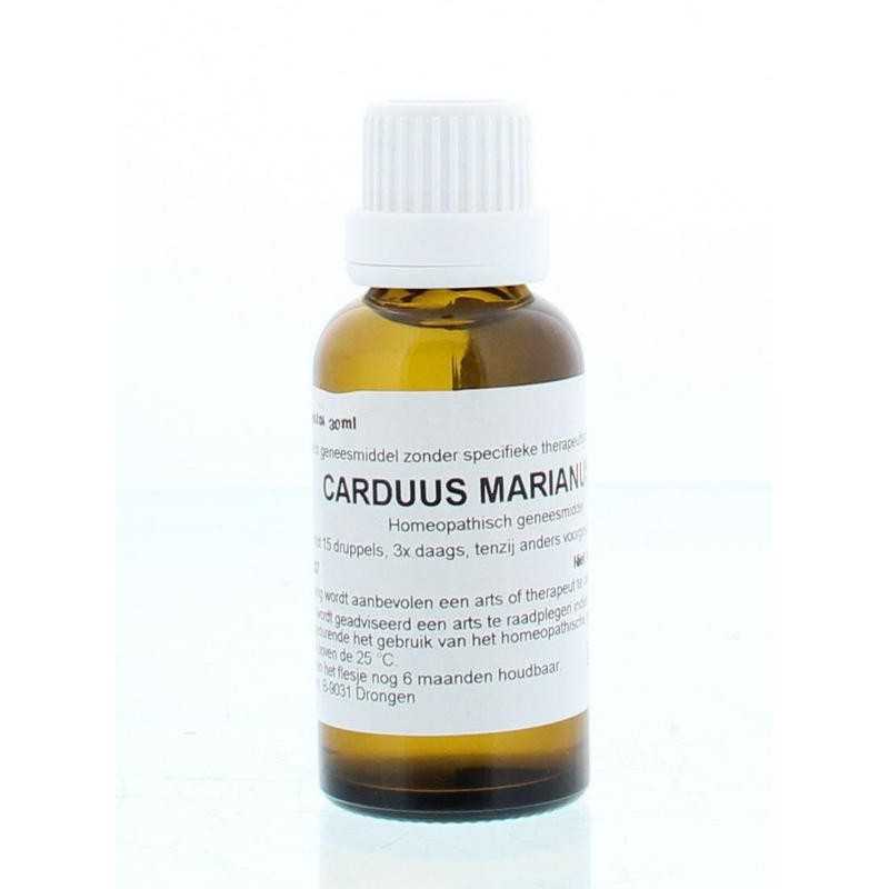 Carduus marianus D6Artikel 4 enkelvoudig8717473022652