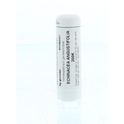 Arsenicum iodatum LM2Artikel 4 enkelvoudig8717473011441