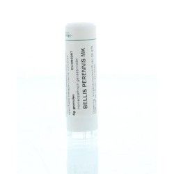 Hypericum perforatum LM2Artikel 4 enkelvoudig8717473041356