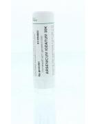 Arsenicum iodatum 30KArtikel 4 enkelvoudig8717473011281