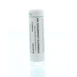 Hypericum perforatum D4Artikel 4 enkelvoudig8728300930224