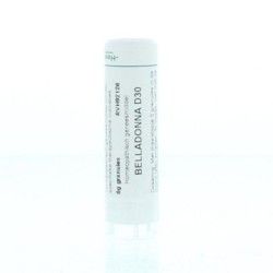 Arnica montana LM8Artikel 4 enkelvoudig8717473011083