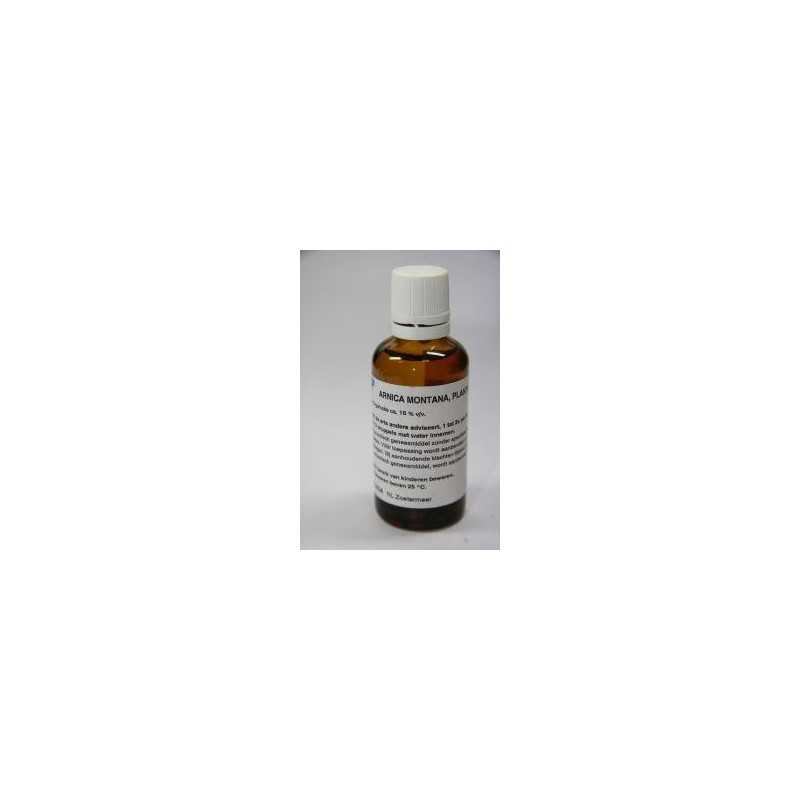 Arnica planta tota D6Artikel 4 enkelvoudig8711776650116