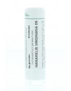 Hamamelis virginiana D6Artikel 4 enkelvoudig8717473037212