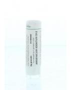 Arsenicum iodatum D12Artikel 4 enkelvoudig8717473111813