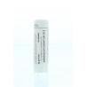 Arsenicum iodatum D12Artikel 4 enkelvoudig8717473111813