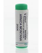 Arnica montana 200KArtikel 4 enkelvoudig8717473010086