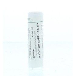 Hypericum perforatum 10MKArtikel 4 enkelvoudig8717473040595