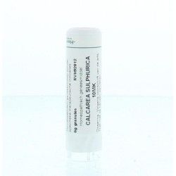 Arnica montana LM8Artikel 4 enkelvoudig8717473011076