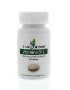 Vitamine B12 methylcobalamine 1000mcgOverig vitaminen/mineralen8718347313098