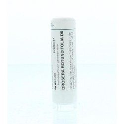 Magnesium muriaticum 12CHArtikel 4 enkelvoudig8717473052208