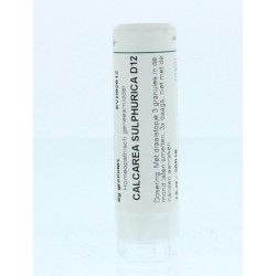 Magnesium carbonicum D6Artikel 4 enkelvoudig8728300935793