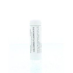 Arnica montana LM4Artikel 4 enkelvoudig8717473010970