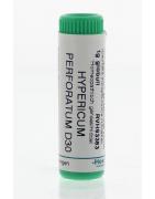 Hypericum perforatum D30Artikel 4 enkelvoudig8717473041097