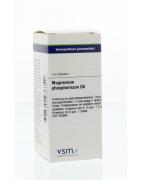 Magnesium phosphoricum D6Artikel 4 enkelvoudig8728300936349