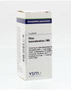 Rhus toxicodendron LM6Artikel 4 enkelvoudig8728300943835