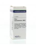 Rhus toxicodendron LM30Artikel 4 enkelvoudig8728300943873