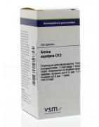 Arnica montana D12Artikel 4 enkelvoudig8728300910745